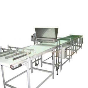 Конвейер нанесения начинки (длина 3000 мм, ширина 700 мм)